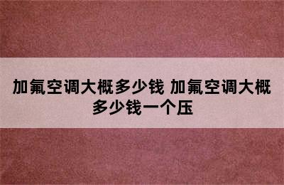 加氟空调大概多少钱 加氟空调大概多少钱一个压